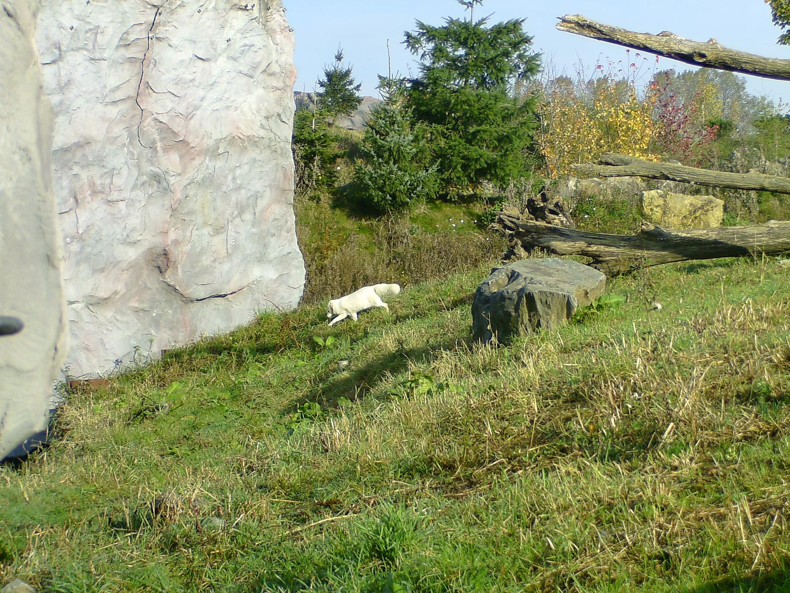 Zoom 18.10.08-023.jpg